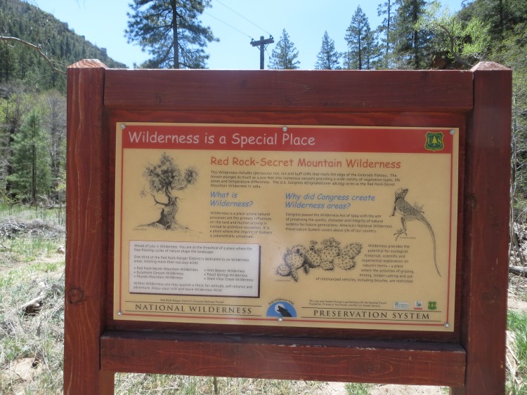 What is a Wilderness